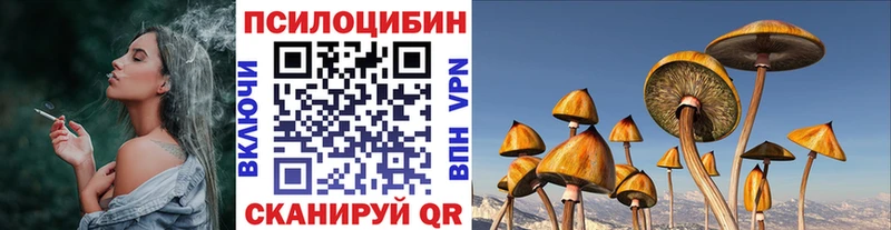 Галлюциногенные грибы Cubensis  Щёлкино 